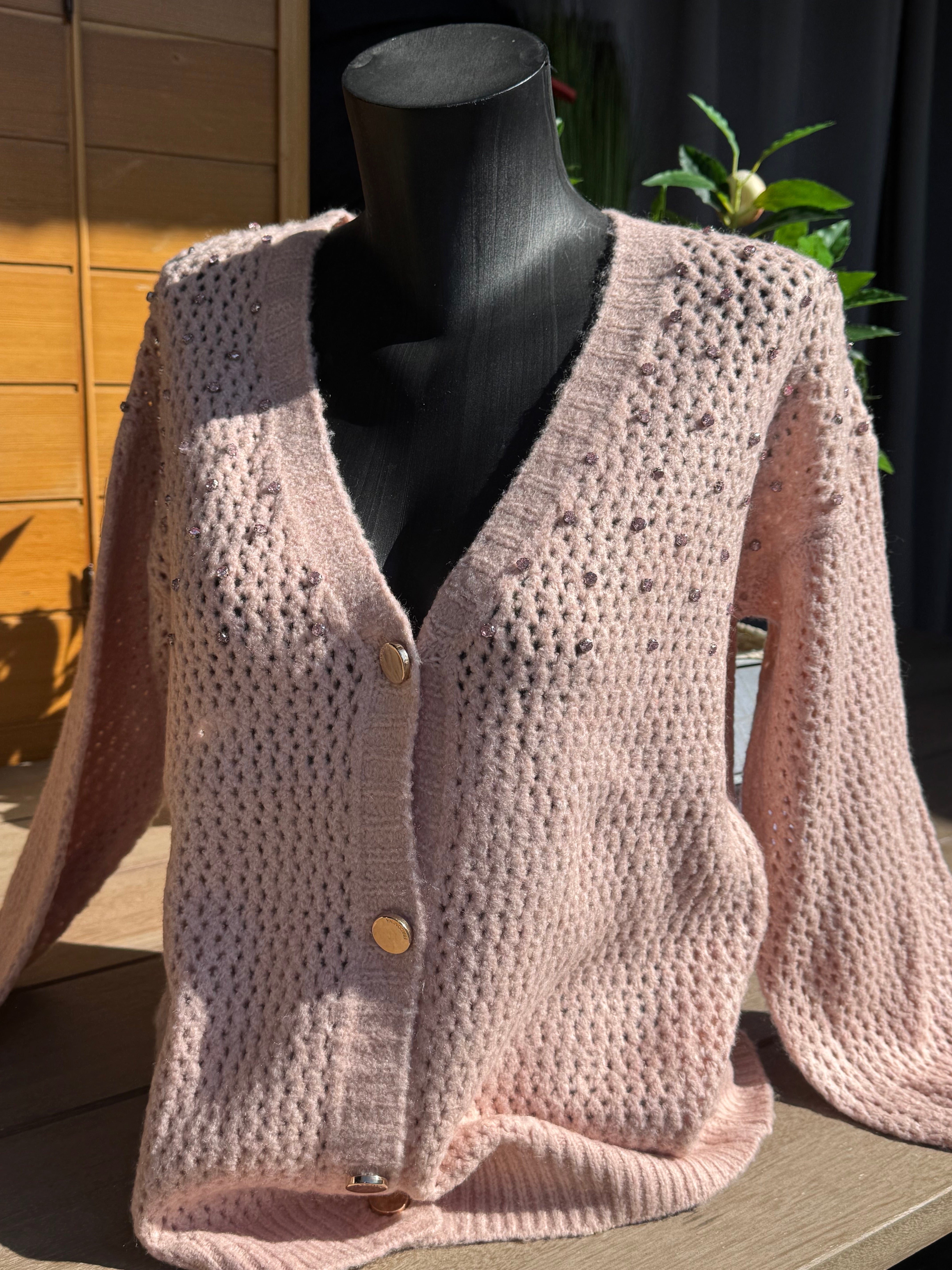 FRANCO button gilet - Poudre